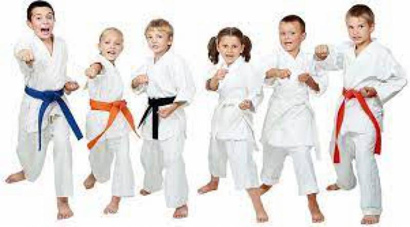 Zdjęcie: Darmowe zajęcia karate w szkole.